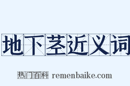 地下茎近义词是什么意思的图片